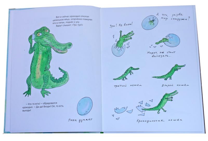 Иллюстрация 1 из 28 для Что случилось с крокодилом - Марина Москвина | Лабиринт - книги. Источник: Лабиринт