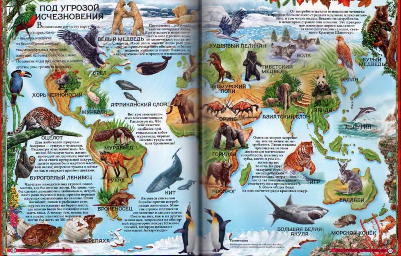 Иллюстрация 3 из 12 для Атлас динозавров и тех, кто пришел вслед за ними | Лабиринт - книги. Источник: Лабиринт