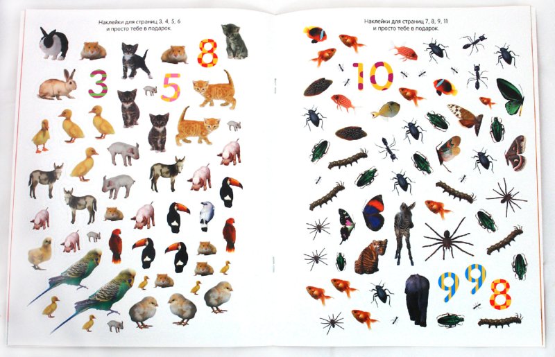 Иллюстрация 1 из 9 для Обведи, наклей, узнай (без фломастера). Животные | Лабиринт - книги. Источник: Лабиринт