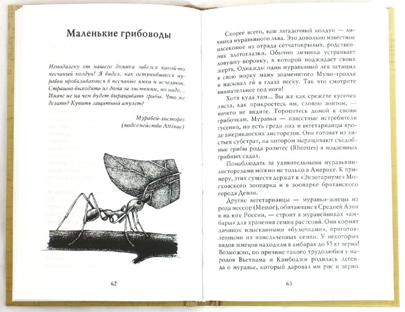 Иллюстрация 3 из 32 для Письма насекомых - Ольга Кувыкина | Лабиринт - книги. Источник: Лабиринт