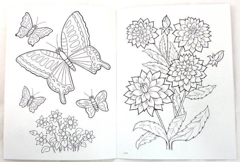 Иллюстрация 1 из 16 для Цветы и бабочки - Татьяна Коваль | Лабиринт - книги. Источник: Лабиринт