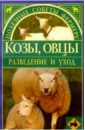 плотникова елена владимировна козы и овцы Козы, овцы