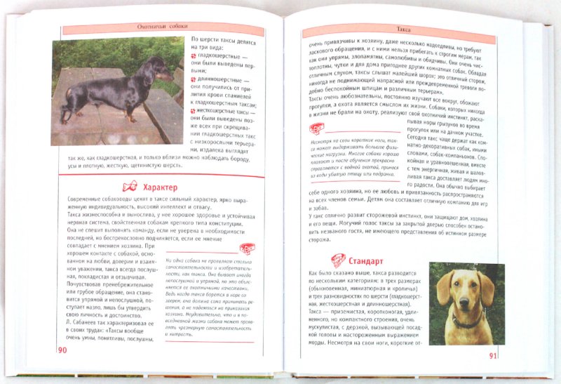 Иллюстрация 1 из 2 для Самые популярные породы собак | Лабиринт - книги. Источник: Лабиринт