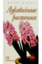 Жакова Ольга Луковичные растения жакова ольга красивоцветущие комнатные растения