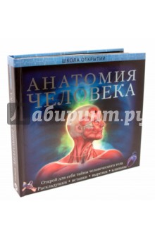 Обложка книги Анатомия человека. Школа открытий, Паркер Стив