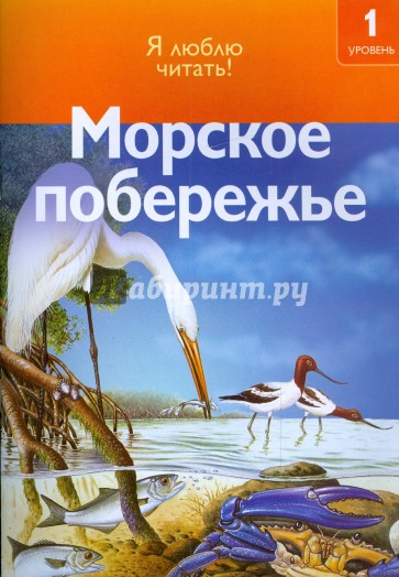 Морское побережье