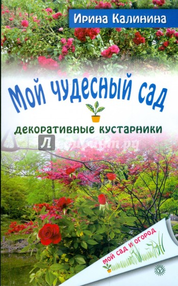 Мой чудесный сад: декоративные кустарники