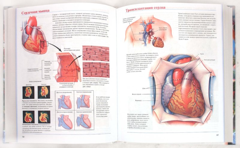 Иллюстрация 1 из 14 для Клиника Мэйо о болезнях сердца | Лабиринт - книги. Источник: Лабиринт