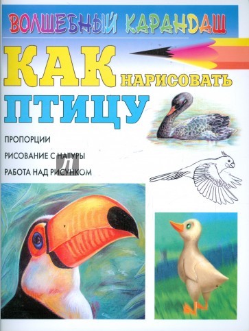 Как нарисовать птицу