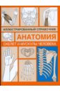 Скелет и мускулы человека паркер стив большой иллюстрированный справочник по анатомии физиологии и патологии cd
