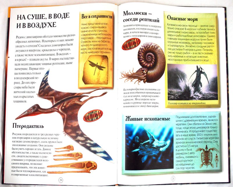 Иллюстрация 3 из 9 для Динозавры - Дэвид Берген | Лабиринт - книги. Источник: Лабиринт