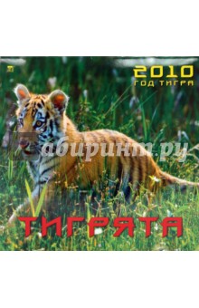 Календарь. 2010 год. Тигрята (70915).