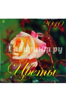 Календарь. 2010 год. Цветы (70901).
