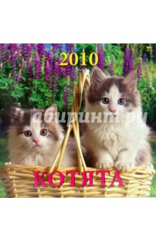 Календарь. 2010 год. Котята (70905).