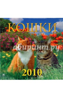 Календарь. 2010 год. Кошки (70921).