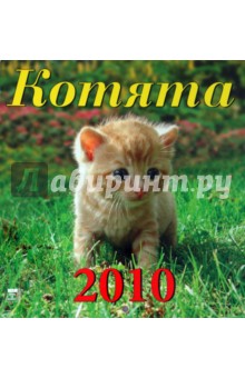 Календарь. 2010 год. Котята (30905).