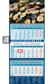 Календарь 2010 Ромашки (14948).