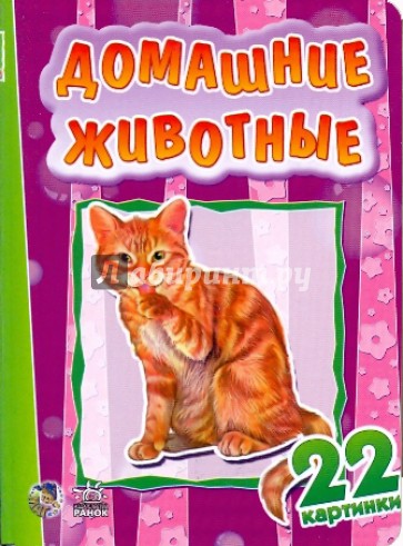 22 картинки: Домашние животные