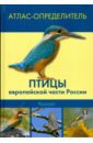 Обложка Птицы европейской части России
