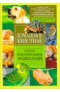 Домашние животные. Большая иллюстрированная энциклопедия животные мира большая иллюстрированная энциклопедия