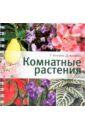 Комнатные растения - Князева Татьяна Петровна, Князева Дарья Викторовна