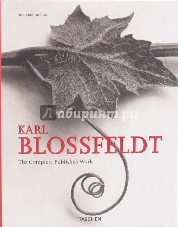 Karl Blossfeldt. The complete published work