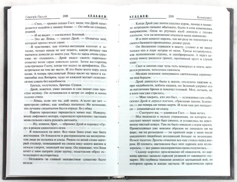 Иллюстрация 1 из 11 для Бумеранг - Сергей Палий | Лабиринт - книги. Источник: Лабиринт