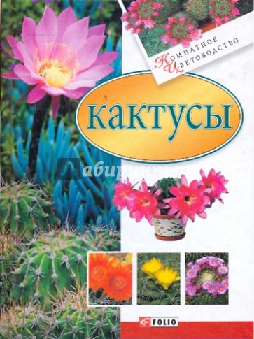 Кактусы