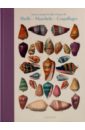 Shell - Muscheln - Coquillages - Carpita Veronica, Willmann Rainer, Willmann Sophia