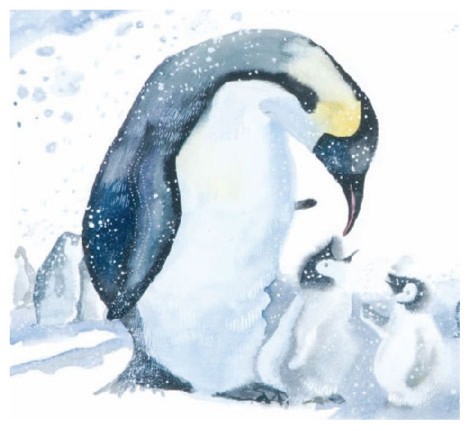Иллюстрация 1 из 82 для Пингвин, который хотел все знать - Джилл Томлинсон | Лабиринт - книги. Источник: Лабиринт