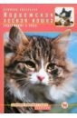 Кизельбах Доминик Норвежская лесная кошка. Содержание и уход дазидова дарья домашняя кошка содержание и уход