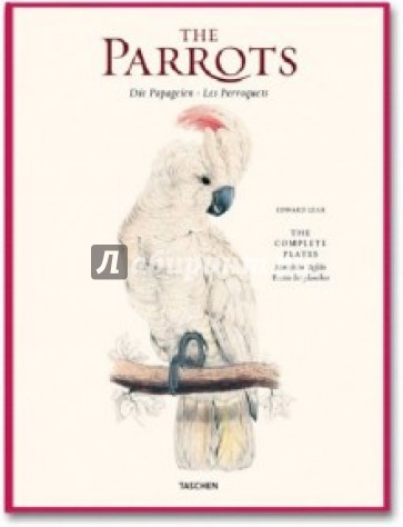 Edward Lear, The Parrots