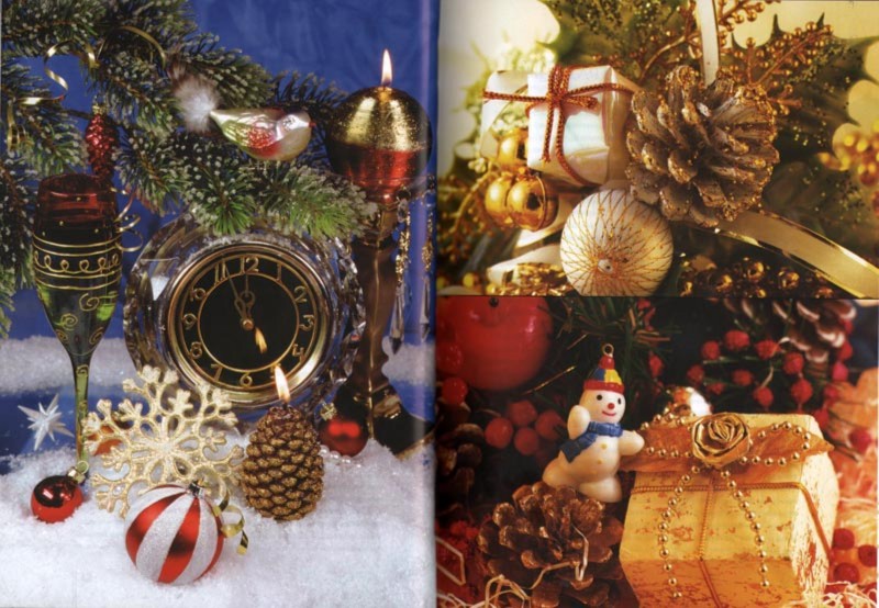 Иллюстрация 2 из 25 для Встречаем Новый год и Рождество - Ольга Ларина | Лабиринт - книги. Источник: Лабиринт