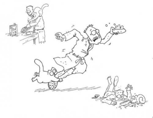 Иллюстрация 1 из 46 для Кот Саймона - Саймон Тофилд | Лабиринт - книги. Источник: Лабиринт