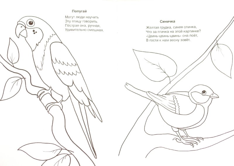 Иллюстрация 1 из 14 для Кто умеет летать - Скребцова, Лопатина | Лабиринт - книги. Источник: Лабиринт