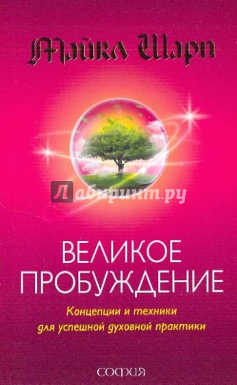 Великое пробуждение. Концепции и техники для успешной духовной практики