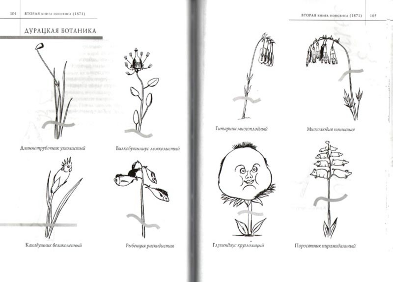 Иллюстрация 2 из 62 для Большая книга чепухи - Эдвард Лир | Лабиринт - книги. Источник: Лабиринт
