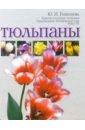 Тюльпаны - Рыженкова Юлия