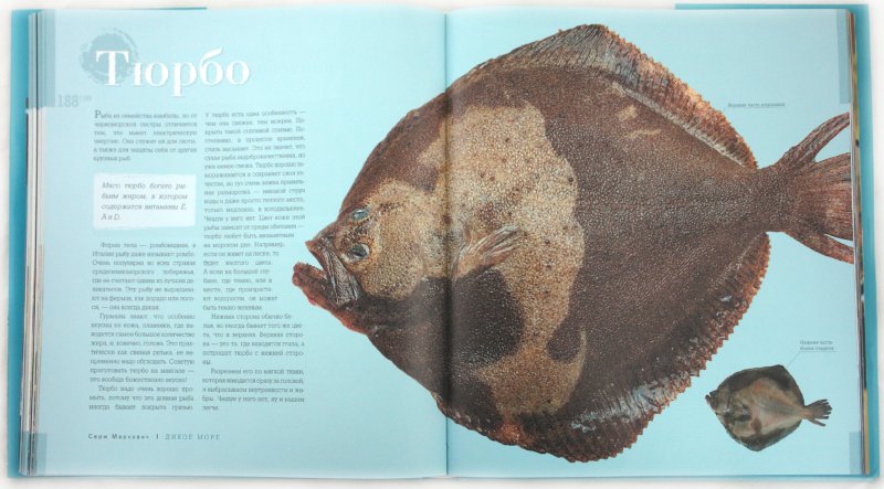 Иллюстрация 3 из 14 для Вкус моря: Изысканные рецепты из рыбы и морепродуктов - Серж Маркович | Лабиринт - книги. Источник: Лабиринт