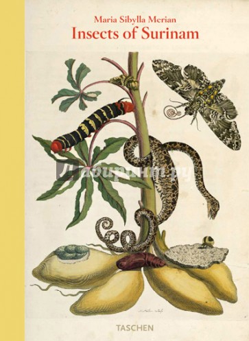 Maria Sibylla Merian, Insects of Surinam