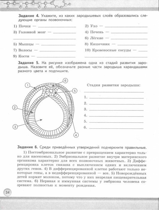 Рабочая тетрадь по биологии 9 класс ответы онлайн мамонова