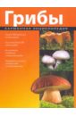 Грибы грибы полная иллюстрированная энциклопедия грибы более 400 видов грибов