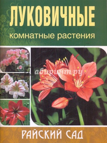 Луковичные комнатные растения