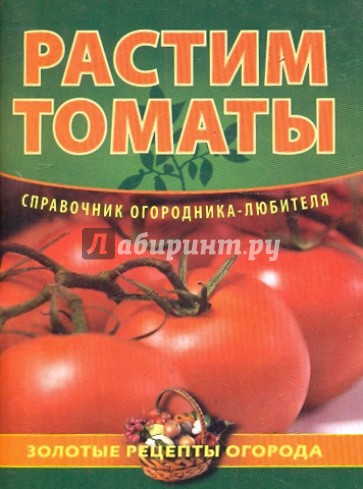 Растим томаты