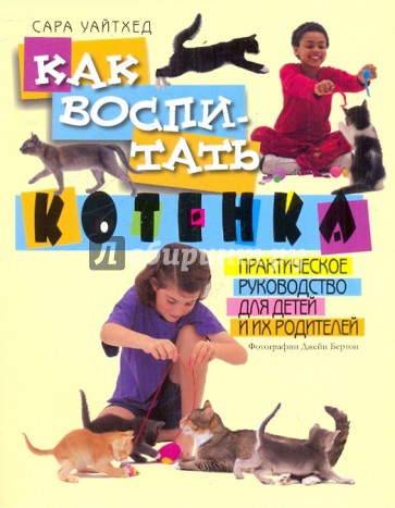 Как воспитать котенка. Практическое руководство для детей и их родителей