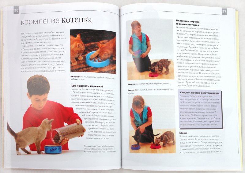 Иллюстрация 1 из 11 для Как воспитать котенка. Практическое руководство для детей и их родителей - Сара Уайтхед | Лабиринт - книги. Источник: Лабиринт