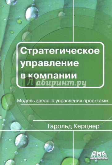 Стратегическое управление в компании. Модель зрелого управления проектами