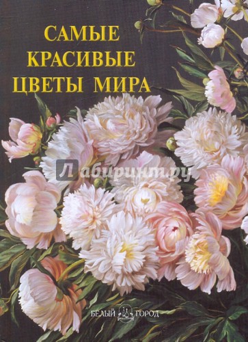 Самые красивые цветы мира