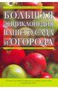 Большая энциклопедия вашего сада и огорода - Князева Татьяна, Князева Дарья