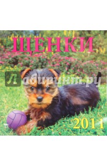 Календарь. 2011 год. Щенки (71006).